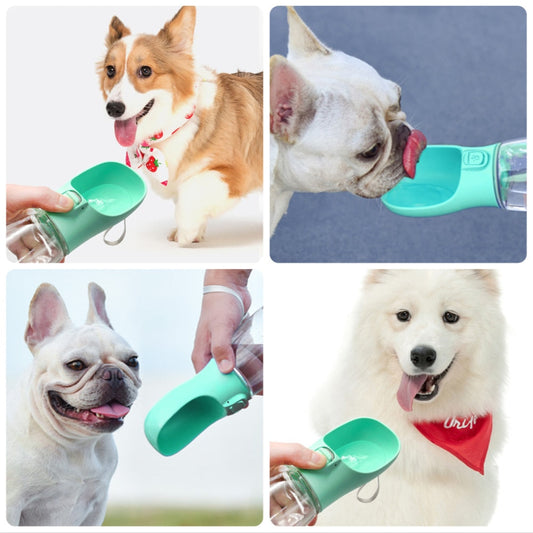 Portable Dogs Drinking Bottle - GOGO FLEEK