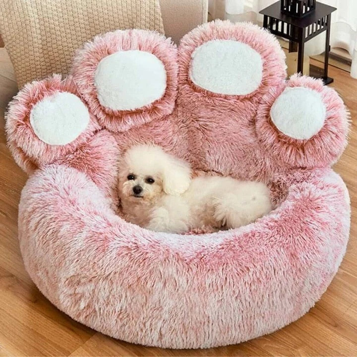 Bear Paw Shape Bed for Your Pup - GOGO FLEEK